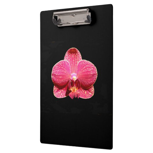 Moth Orchid Clipboard Klembord (Links)