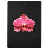 Moth Orchid Clipboard Klembord (Achterkant)