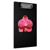Moth Orchid Clipboard Klembord (Rechts)