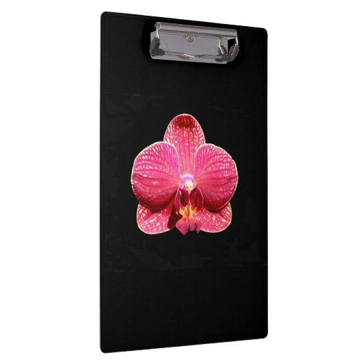 Moth Orchid Clipboard Klembord (Rechts)