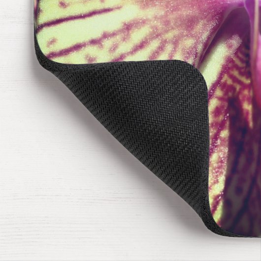 Moth Orchid Flower Close Muismat (Hoek)