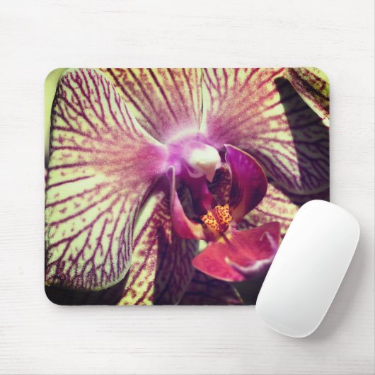 Moth Orchid Flower Close Muismat (Met muis)