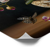 Moth Orchid Flowers Art Print Poster (Hoek)
