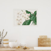 Moth Orchid Flowers, Phalaenopsis, Tanigami Konan Poster (Keuken)
