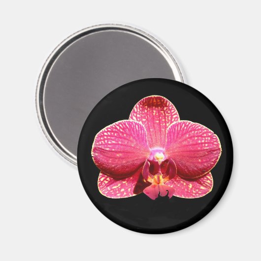 Moth Orchid Magnet (Voorkant / Achterkant)