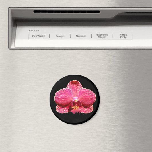 Moth Orchid Magnet (Insitu (Vaatwasser))