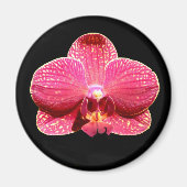Moth Orchid Magnet (Voorkant)