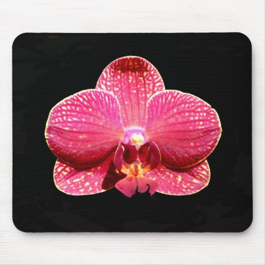 Moth Orchid Mouse Mat Muismat (Voorkant)