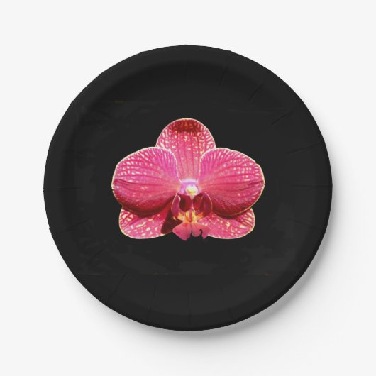 Moth Orchid Paper Bord (Voorkant)