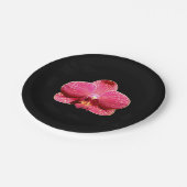 Moth Orchid Paper Bord (Gekanteld)