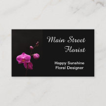 Moth Orchid Pink Flowers