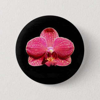 Moth Orchidee Badge Ronde Button 5,7 Cm