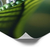 Moth poedel fantasie surrealistisch gemuteerde mot poster (Hoek)