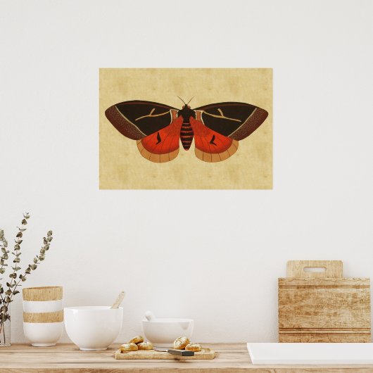  Moth Poster (Keuken)