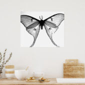 Moth Poster (Keuken)