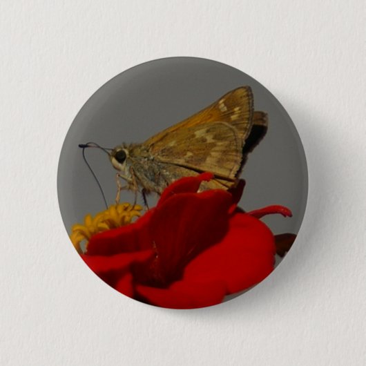 Moth Ronde Button 5,7 Cm (Voorkant)