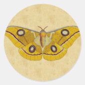 Moth Ronde Sticker (Voorkant)
