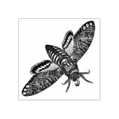 Moth Rubber Stamp Rubberstempel (Afrduk)