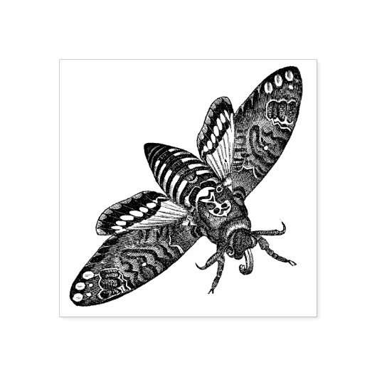 Moth Rubber Stamp Rubberstempel (Afrduk)