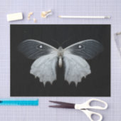 Moth Tissuepapier (Craft)