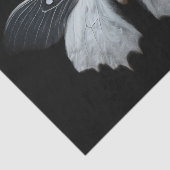 Moth Tissuepapier (Detail)