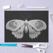 Moth Tissuepapier (Craft)
