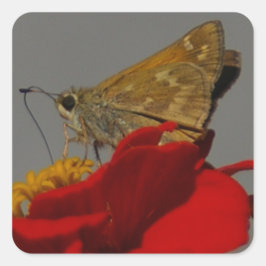 Moth Vierkante Sticker