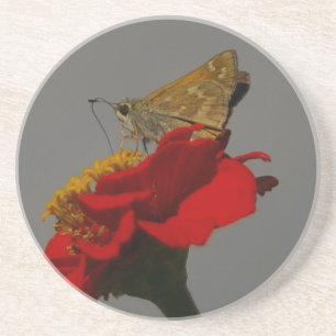Moth Zandsteen Onderzetter