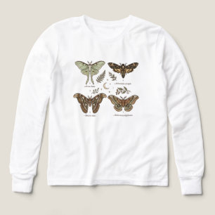 Mothcollectie Vintage Entomologie Donkere Cottagec