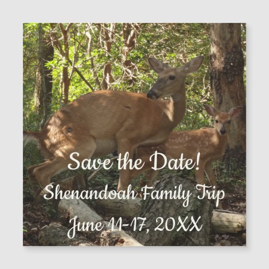 Mother and Baby Deer at Shenandoah National Park (Voorkant)