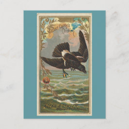 Mother Carey's Chicken Briefkaart