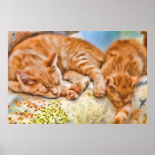 MOTHER CAT KITTEN NAP POSTER (Voorkant)