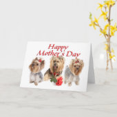 Mother Day Yorkies Kaart (Gele Bloem)