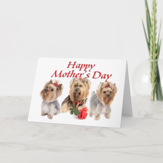 Mother Day Yorkies Kaart (Voorkant)