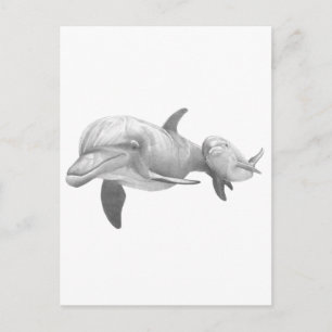 MOTHER DOLPHINS LOVE BRIEFKAART