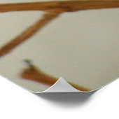 Mother Hummingbird - Afdrukken/Poster Poster (Hoek)