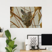 Mother Hummingbird - Afdrukken/Poster Poster (Thuiskantoor)