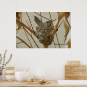 Mother Hummingbird - Afdrukken/Poster Poster (Keuken)