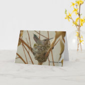 Mother Hummingbird Kaart (Gele Bloem)