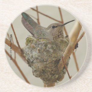 Mother Hummingbird-Onderzetter Zandsteen Onderzetter