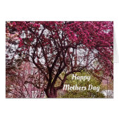 MOTHERNVERZEKERING MOEDERDAG (Voorkant Horizontaal)