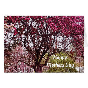 MOTHERNVERZEKERING MOEDERDAG