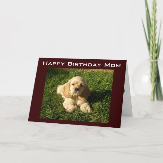 MOTHER'S BIRTHDAY ADVICE FOR BIRTHDAY KAART (Voorkant)