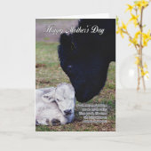 Mother's Day Card With Spring Cow And Calf - Speci Kaart (Gele Bloem)