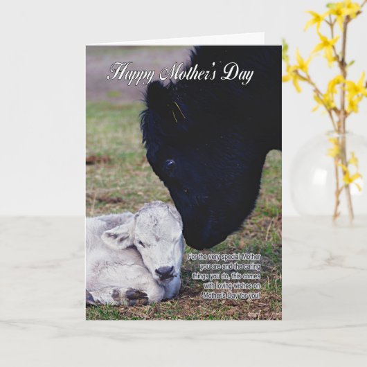 Mother's Day Card With Spring Cow And Calf - Speci Kaart (Gele Bloem)