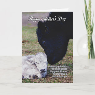 Mother's Day Card With Spring Cow And Calf - Speci Kaart