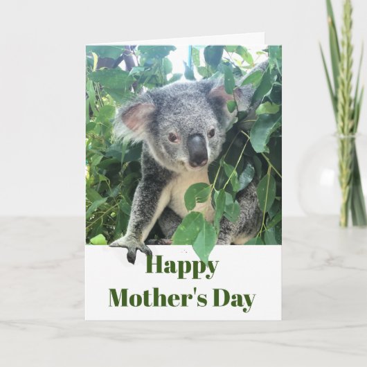Mothers Day Koala Eucalyptus tree Photo Feestdagen Kaart (Voorkant)