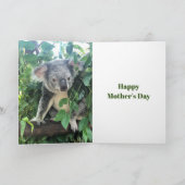 Mothers Day Koala Eucalyptus tree Photo Feestdagen Kaart (Binnen)