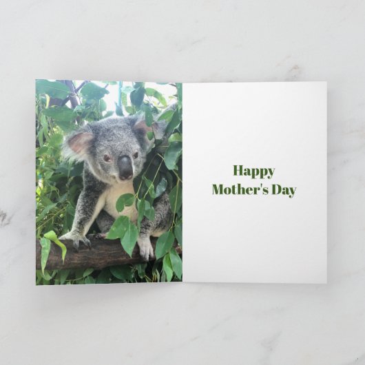 Mothers Day Koala Eucalyptus tree Photo Feestdagen Kaart (Binnen)