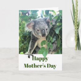 Mothers Day Koala Eucalyptus tree Photo Feestdagen Kaart